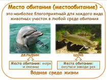 Lecții de Biologie