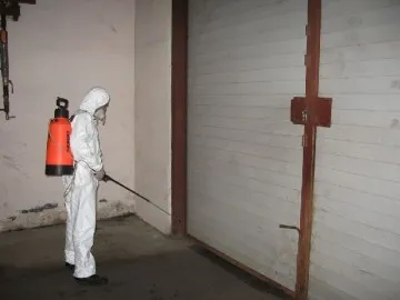 Distrugerea ploșnițe ca mine pentru a scăpa de insecte în apartament (distrugere) Distrugerea ploșnițe ca mine pentru a scapa de insectele din apartament