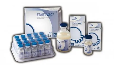 Vaca de mastită decât vindecarea, antibiotice, medicamente, unguent