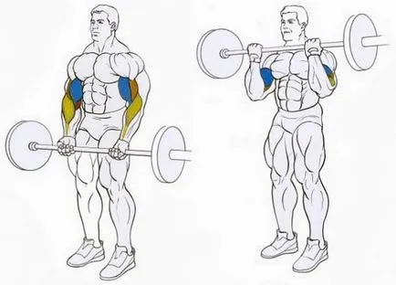 pentru biceps exerciții la domiciliu și în sala de gimnastică (condiții) pentru biceps exerciții la domiciliu și în sala de gimnastică