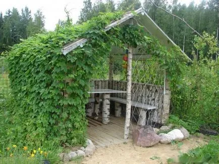 Decorare chioșc în grădină, cu propriile sale mâini (foto) (arme) Decorare chioșc în grădină, cu propriile sale mâini (foto)