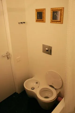 Instalarea unui bideu mâinile cu instalarea, cu balamale sau podea (foto și video) (sa) Instalarea unui bideu mâinile cu instalarea, cu balamale sau podea (foto și video)