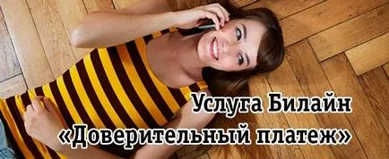 Serviciul Beeline „mandatar însărcinat cu plată“