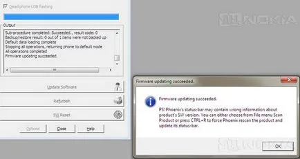 USB firmware - mort - telefoane Nokia prin intermediul programului Phoenix