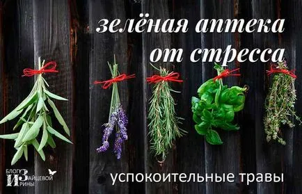 ierburi și instrumente de calmante, pe blog-ul Iriny Zaytsevoy (ierburi și instrumente liniștitor.) ierburi și instrumente de calmante, pe blog-ul Iriny Zaytsevoy