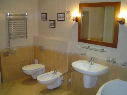 Instalarea unui bideu mâinile cu instalarea, cu balamale sau podea (foto și video) (arme) Instalarea unui bideu mâinile cu instalarea, cu balamale sau podea (foto și video)
