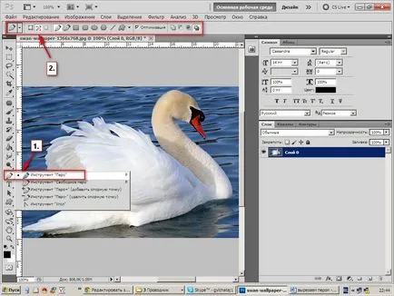 Tutoriale Photoshop, separarea obiectului din fundal, cum să taie, toate pentru Photoshop