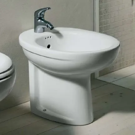 Instalarea unui bideu mâinile cu instalarea, cu balamale sau podea (foto și video) (arme) Instalarea unui bideu mâinile cu instalarea, cu balamale sau podea (foto și video)