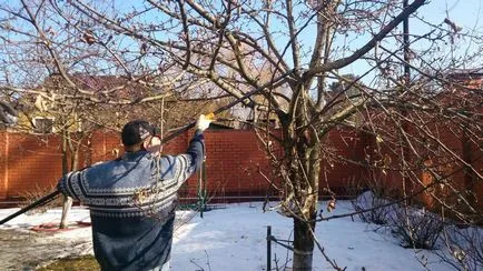 Întreținerea grădinii în primăvara principalelor etape, tehnici, videoclipuri, fotografii