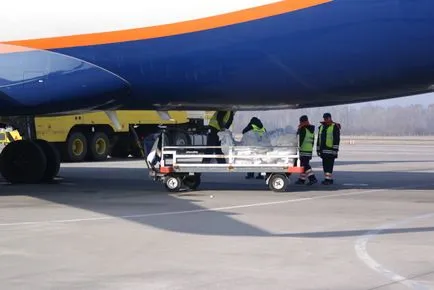 Dispozitiv de aeroport toate echipamentele
