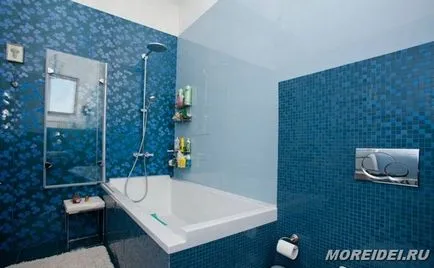 Opțiuni pentru baie de design din casa panou (panou de baie) Opțiuni pentru baie de design din casa panoul