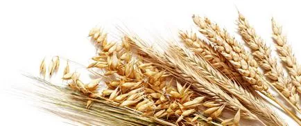 Ar trebui să știi asta! 9 motive pentru a încetini metabolismul! (Metabolism) Ar trebui să știi asta! 9 motive pentru a încetini metabolismul!