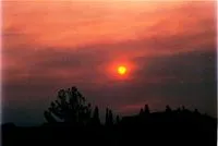Cât de multe lecturi trece drept
