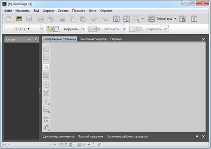 Descarcă nuanță OmniPage final 19