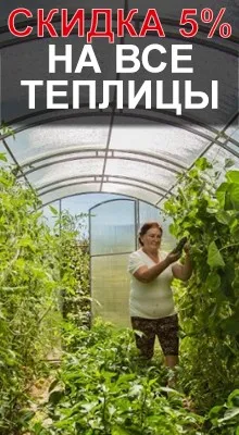 Cultivarea ridichi într-o seră când să planteze și cum să aibă grijă de o ridiche
