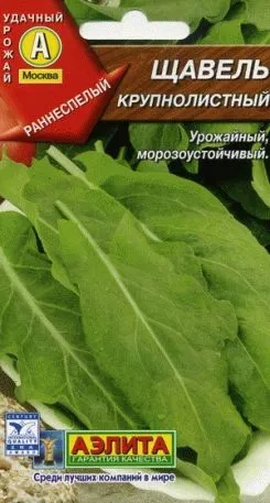 Cultivarea de semințe de măcriș - o mai devreme verdeață, cum ar fi gradina ta