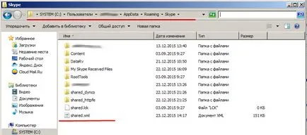 Skype emisă în timpul pornirii, modul de a corecta eroarea