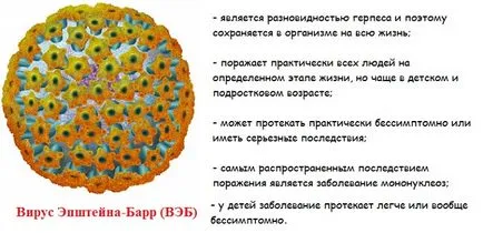 Virusul Epstein-Barr - simptome si tratament la copii