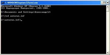 Virus pe o unitate flash - viață-prog