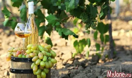 Povestea de origine Vin - vinul, soiuri de vin, vin, istorie (clasele) Povestea de origine Vin - vinul, soiuri de vin, fabricarea vinului, istorie