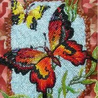 Broderie - Pagina 1