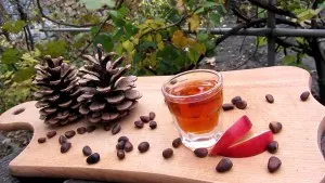 Vodka de alcool la reteta acasă