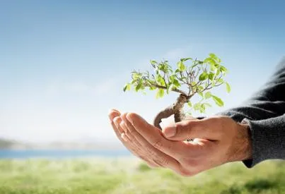Influența biosfera drepturilor omului și biosfera