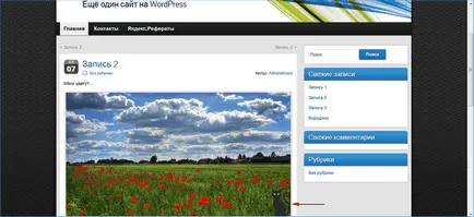 Filigrane pentru WordPress - bespplatnye plugin-uri filigran