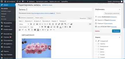 Filigrane pentru WordPress - bespplatnye plugin-uri filigran