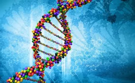 Aspectele legate de genetica, deoarece afectează formarea aspectul și caracterul copilului