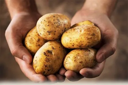 Fie că dieta de cartofi daunatoare, sub orice formă pot fi consumate (cartofi) Fie că dieta de cartofi dăunătoare în orice formă puteți mânca