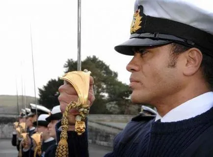 salut militar, sau o mână Salute