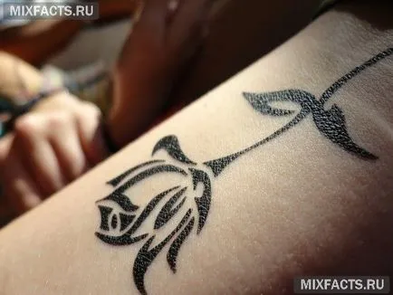 tatuaj temporar pentru o lună și tipuri de caracteristici (bliț tatuaje) tatuaj temporar pentru o lună opinii și caracteristici