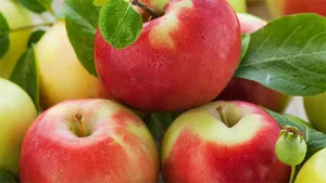 reteta de mere vin acasă (video) (acasă) Apple a reteta vin de la domiciliu (video)
