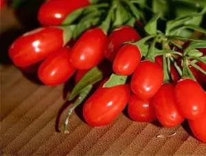 Goji - recenzii Doctori