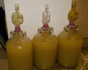 vin de mere la domiciliu - gătit și rețeta