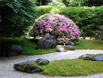Gradina Japoneza la dacha