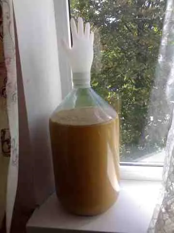 vin de mere la domiciliu - gătit și rețeta