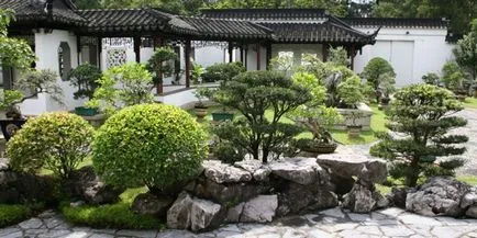 Grădina japoneză - Amenajare a teritoriului cu mâinile lor din pietre sau plante cu fotografie (gradina) Grădină japoneză - Amenajare a teritoriului cu mâinile lor din pietre sau plante cu fotografii