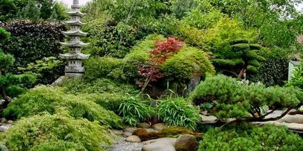 Grădină japoneză - Amenajare a teritoriului cu mâinile lor din pietre sau plante cu fotografii (japoneză) Grădină japoneză - Amenajare a teritoriului cu mâinile lor din pietre sau plante cu fotografii