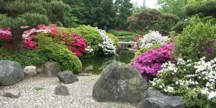 grădină japoneză - peisaj de design propriile lor mâini din pietre sau o fotografie (cu mâinile) plante Grădină japoneză - Amenajare a teritoriului cu mâinile lor din pietre sau plante cu fotografii