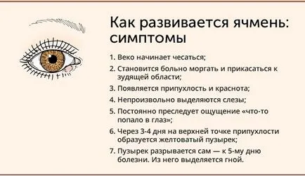 Stye cum se vindeca rapid la domiciliu, tratamentul la domiciliu, cura (ochi) Stye cum se vindeca rapid la domiciliu, tratament la domiciliu, vindeca