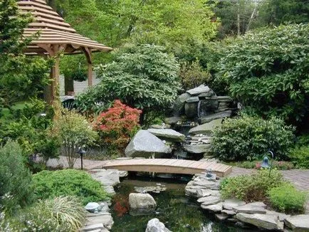 Gradina Japoneza la dacha