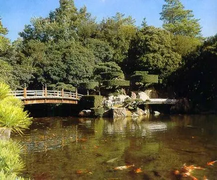 Gradina Japoneza la dacha