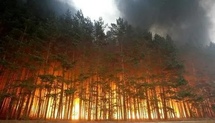cauzează poluarea aerului, protecția atmosferei, impactul uman (poluării) cauzează poluarea aerului, protecția atmosferei, influența omului