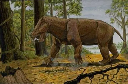 monstru misterios Canada - creaturi misterioase - Știri