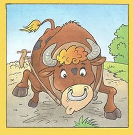 Ghicitori în imagini pentru toate gusturile! Cel mai bun!