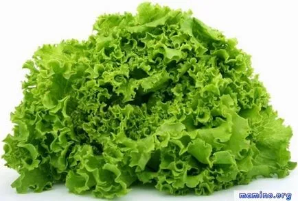 Congelarea alimentelor - așa congela bine