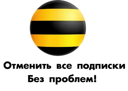 Ban a plătit abonamente Beeline