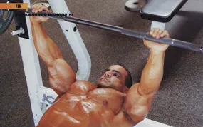 Chest Press